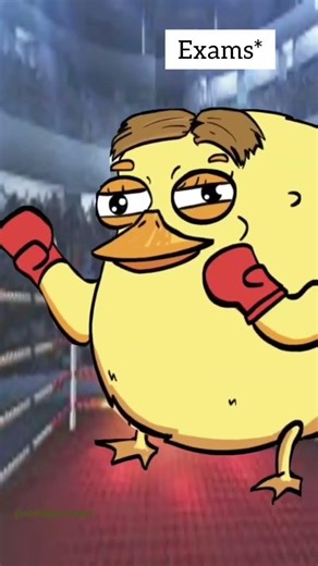 2D Animation Reels Bundle 🔥 | Smooth & Creative Motion Graphics