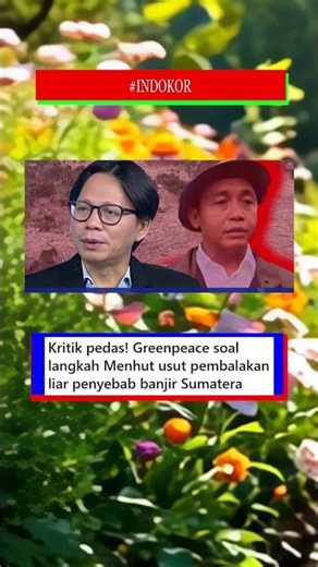 There is no seriousness from the Minister of Forestry in investigating logging in Sumatra's forests