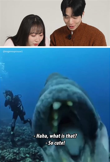 Ocean core #ocean #core #underwater | ocean videos