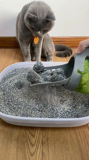 Never Handle Cat Poop Again with Our Self-Cleaning Scooper!. ⏳ Hurry! Link is in the comments before it’s gone! | Meow Meow Lover | Facebook