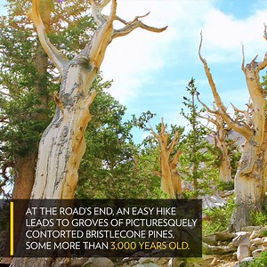 Considering its impressive beauty, very few people visit Great Basin National Park each year. That means all the more unspoiled nature and wide open space to explore. http://on.natgeo.com/2zbwrSy | National Geographic Travel