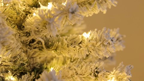 24 Days Fishing Lure Advent Calendar 2025 for Men & Teen Boys, 24 Unique Artificial Baits for Fresh/Saltwater | Christmas Countdown Gift for Anglers (Crankbaits, Poppers, Minnows, Jigs, Frog Lures)