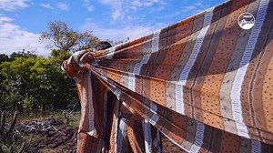 130K views · 1.8K reactions | A nova coleção de tecidos “Cores do...