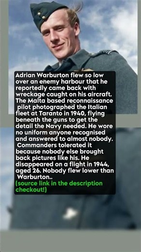 Malta pilot flew so low he brought back wreckage #short #history #ww2