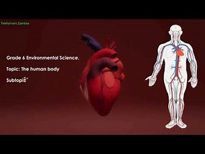 Grade 6 Integrated Science Lesson: 2