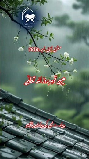 ‎Hadees Sharif 💞🌺💞 | Hadees Mubarak | Best Hadees | Hadith Of Prophet Muhammad | Hadees Nabvi #short