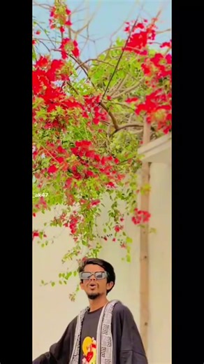 TikTok · 1234567890zcvbnm1