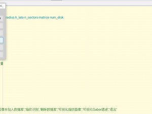 MATLAB指纹识别系统。带界面GUI，显示各个预处理步骤，一对一指纹识别，做成指纹考勤