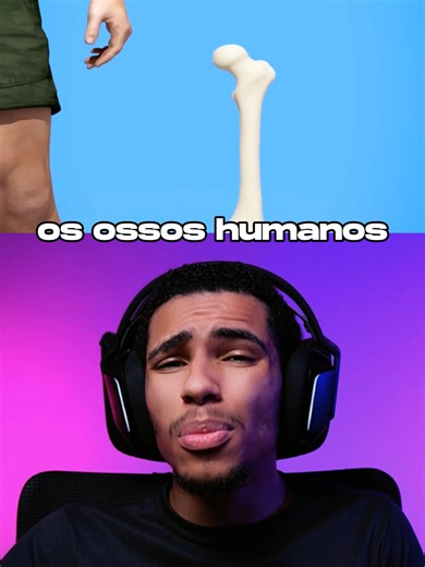 Os Segredos dos Ossos Humanos: Força Incrível Revelada