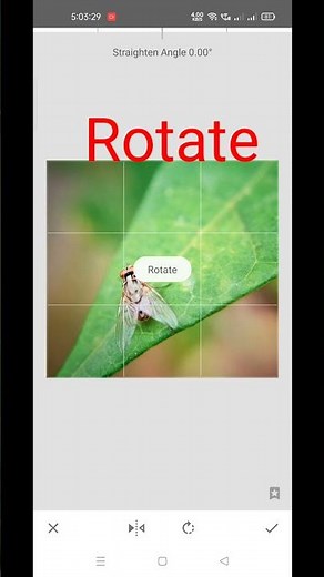 How to flip image in Snapseed । Snapseed mirror image । 60 Second Tutorials #shorts