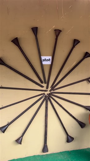 Prince Sharma Bhardwaj on Instagram: "Orne became horn #horn #travel #india #trending #reelitfeelit"