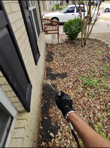 If you live in the Houston area and need pest control, hire me! I’m the best at what I do on planet earth. Call or text! 832-430-0963 ☎️ #pestcontrol #houston #sugarland #cockroach #fleas