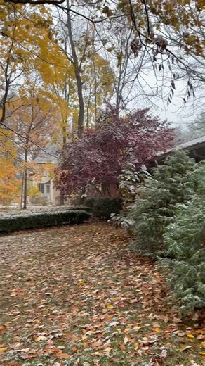 First snow in Indy today! | Roberta Arsenault