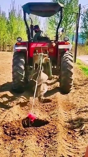 A digging machine for planting trees