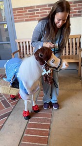 UCLA Nurse practitioner Melissa, welcomed Blue Moon to the Pediatric Halloween event at UCLA Santa Monica Medical Center. Want to volunteer? @ucla_pac @uclahealth @equusfoundation @platinumperformance @shrinerssocal @lasd_lhs @911lapd #wellness #hope #healing #compassion #equinetherapy | Mini Therapy Horses