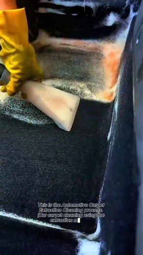 Deep Carpet Extraction