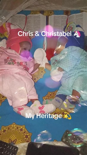 Isaiah 58:11 And the LORD shall guide thee continually, and satisfy thy soul in drought, and make fat thy bones: and thou shalt be like a watered garden, and like a spring of water, whose waters fail not. Chris & Christabel 🦄 My Heritage 💫 #viralreelsシ #viralvideo #viralfacebookreels #twins #kids #kidstiktok #kidsoftiktok #christianity