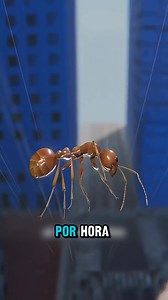 Remember, it’s the season for our best promotion of the year! Free Exam 😎 Pay in 3 months 💵 We make your glasses in 1 hour ⏰ Book now! 📌 Find us at: https://maps.app.goo.gl/hpL8xHT5MhwoSPwq7?g_st=com.google.maps.preview.copy 📲 Book your appointment in 10 seconds by clicking the button below. | Mi Vision Family Eye Care Center