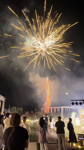 fireworks carnival show#liuyangfireworks #chinafireworksfactory #fireworksshow