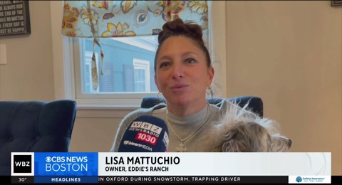 Saugus animal rescue helps disabled senior pets