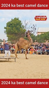 10K views · 110 reactions | 2024 ka best camel dance performance #camel #unt #cameldance | Live india sabse fast | Facebook