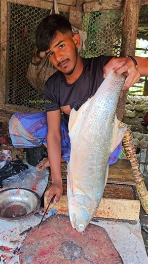 How To Cut Clean & Cutting Indian Salmon Fish 🫢😳 #shorts