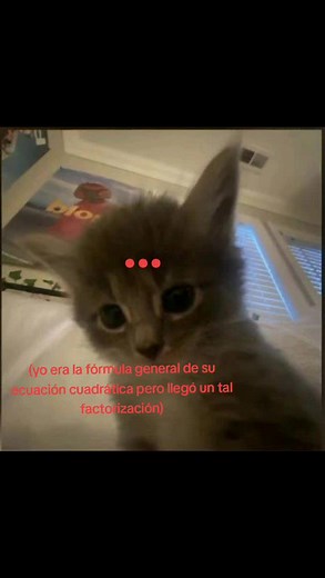 Ecuación Cuadrática: Fórmula General y Factorización explicadas