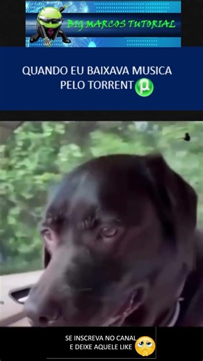 QUANDO EU BAIXAVA MUSICA PELO TORRENT #ti #humorti #torrent #analistadesuporte #suporteti