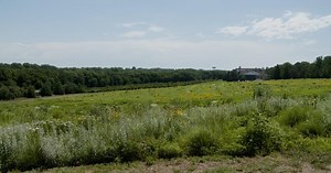 Backyard Farmer:Arbor Lodge Harris Prairie & Herbicide Brands
