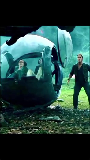 Engaging Z Clips from the USA