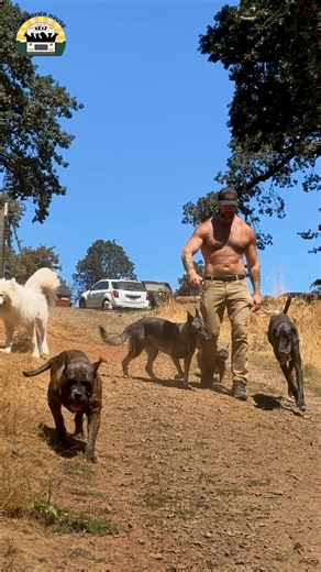 2.5M views · 157K reactions | My plans for The Asher House ❤️ | The Asher House | Facebook