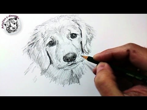 Técnicas y Tips de Dibujo con Lápiz de Grafito y Cómo Dibujar un Perro a Lápiz
