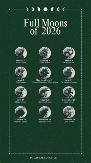 💾 Save this guide to the names of the full moons for the year, along with their origins: 🐺 January 3 | The January full Moon is called the Wolf Moon because wolves seemed to howl more during this time for reasons such as communicating across distances.. ❄️ February 1 | The February full Moon is called the Snow Moon because this name is attributed to the typically heavy snowfall that occurs in February. 🪱 March 3 | The March full Moon is called the Worm Moon because the thawing of the ground a