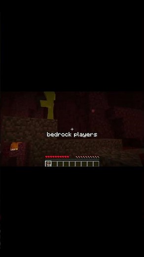 Java VS Bedrock Bridging #minecraft