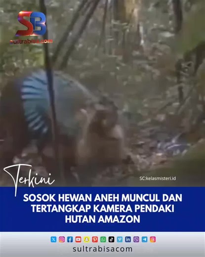 Hewan Dabbah: Apa dan Mengapa Penting?