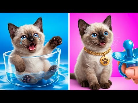 SMART CAT HACKS 😿💡 | Life-Saving Tips, DIY Tricks & Viral Pet Gadgets | 123 GO!