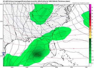 Latest 4 runs of the EURO AI showing possible Gulf low. This would be what's needed to help any southern and eastern snow spin in on the backside as it crosses Florida moving off NE. Timing Jan 9/10/11th'ish. www.spaghettimodels.com | Mike's Weather Page