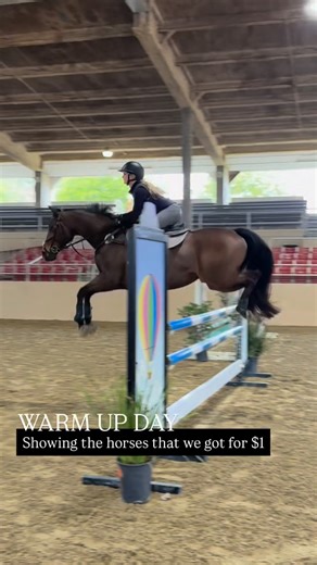 Zoey Luna Equestrian | Cali and Sylas 🌶️ 🔫 the tbs warmed up great! Sylas was pretty feral and excited but hey, he’s trying his hardest!! Though sometimes I wish... | Instagram