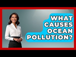 What Causes Ocean Pollution? - The Marine Life Explorer