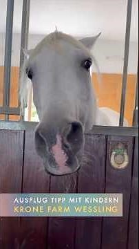 The senior residence of the Circus Krone animals: Krone Farm Weßling – THE excursion tip with chi...