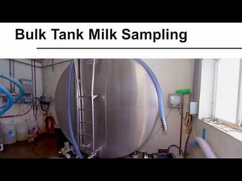Bulk Tank Milk Sampling