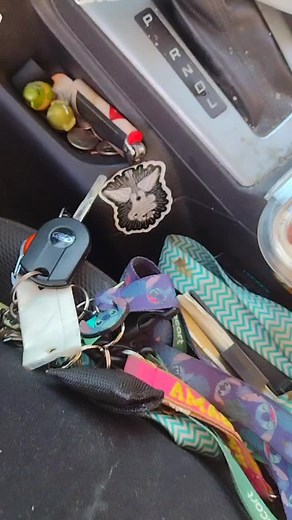 Mandy Mitchell (@mandymitchell05)’s videos with original sound - Mandy Mitchell