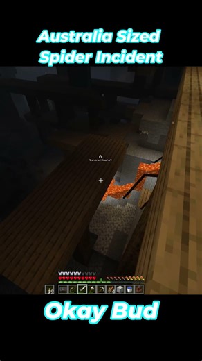 This Spider Was WAY Too Big