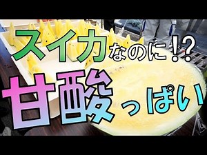 甘酸っぱいスイカ 「スイナップル」登場 新ジャンル開拓へ