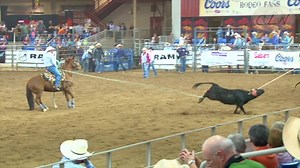 439K views · 10K reactions | For more behind the scenes on your favorite team roping and rodeo events, follow Cowboy Lifestyle Network! | Cowboy Lifestyle Network | Facebook