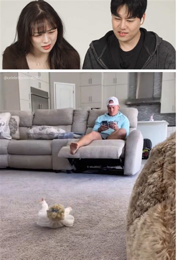 Scary Toy Prank on Loved Ones