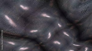 Abstract black background. 4K minimal animation of a 3D shiny liquid texture morphing slowly. Minimalist black motion design. Hypnotic black texture. Abstract background.