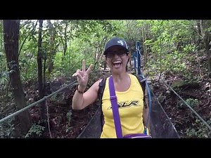 Square Trees - Panama Rainforest