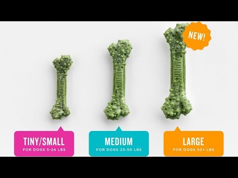 Dog Dental Bone Treats That Actually Work (Vet Approved!) - Honest Pet Product Reviews & Tests