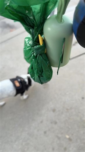 Dog Walking Made Easy with Earth Rated Poop Bag Holder